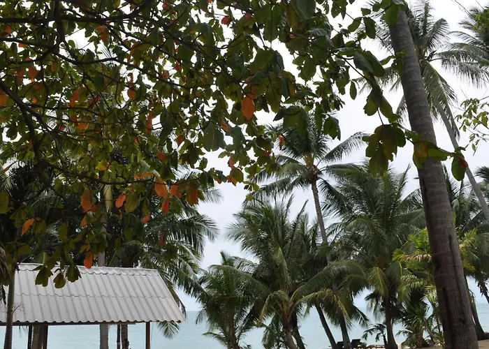 椰子海滩度假村