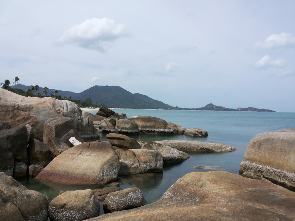 椰子海滩度假村 3*