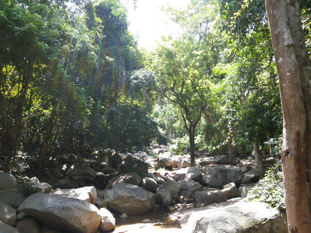 椰子海滩度假村 3* 拉迈海滩